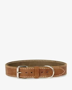 Roots Extra Large Leather Dog Collar*Women Pet